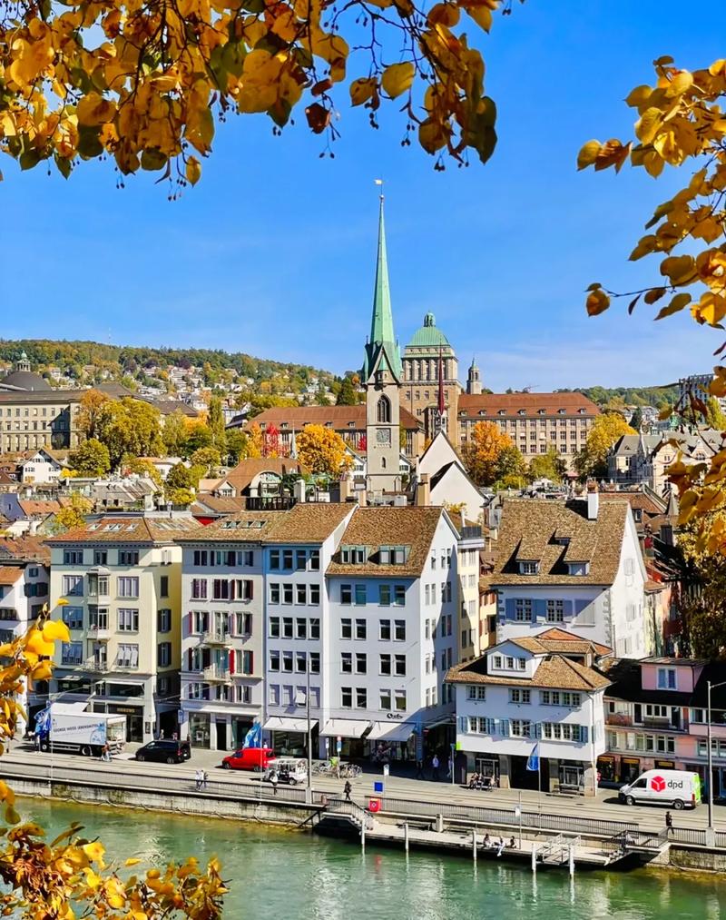 麦克马斯特大学